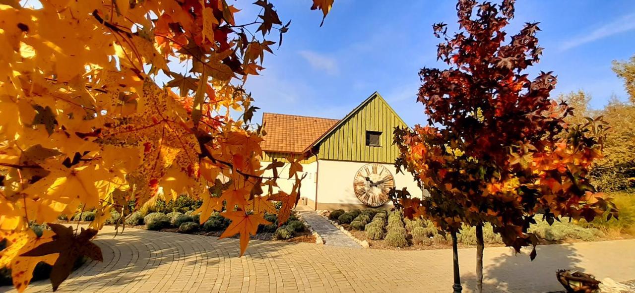 Pajta Apartman Es Vendeghaz Tata Extérieur photo